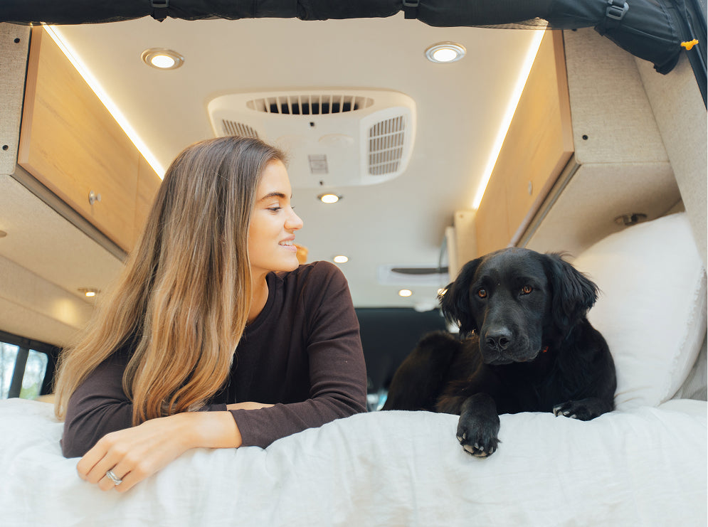 Storyteller Adventure Camper Van Dog-Friendly