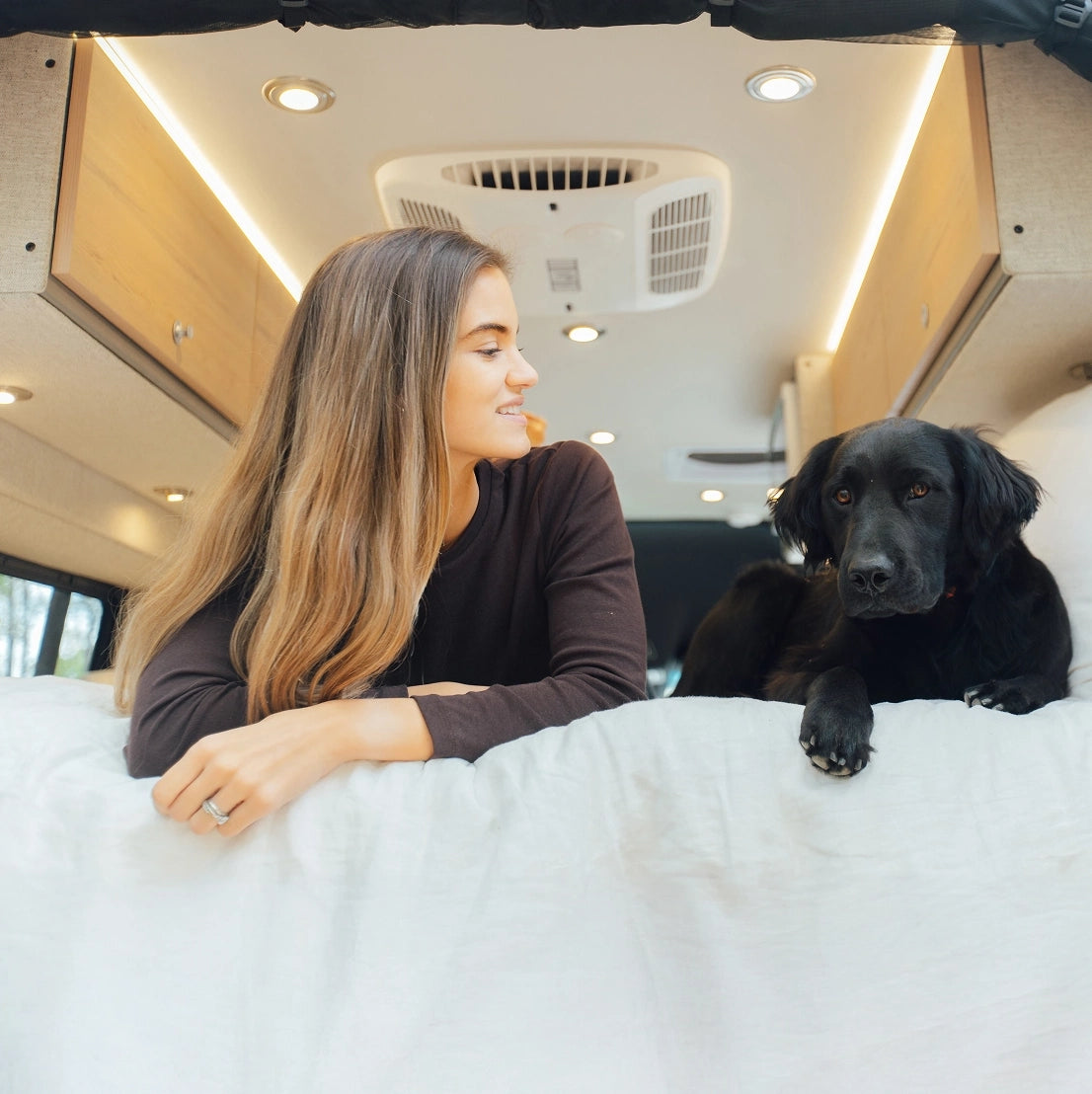 Storyteller Adventure Camper Van Dog-Friendly