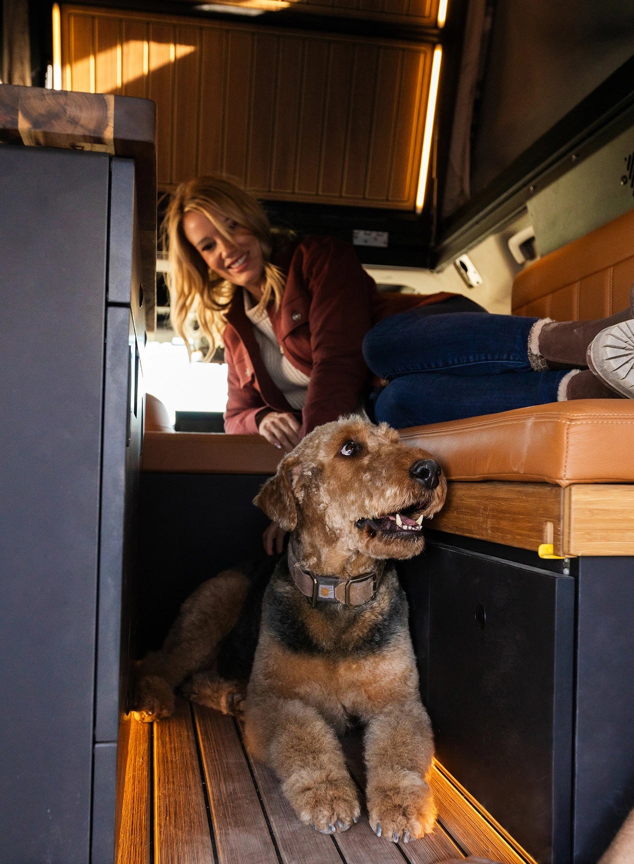 STO Grand Bohemian Dog Friendly Interior