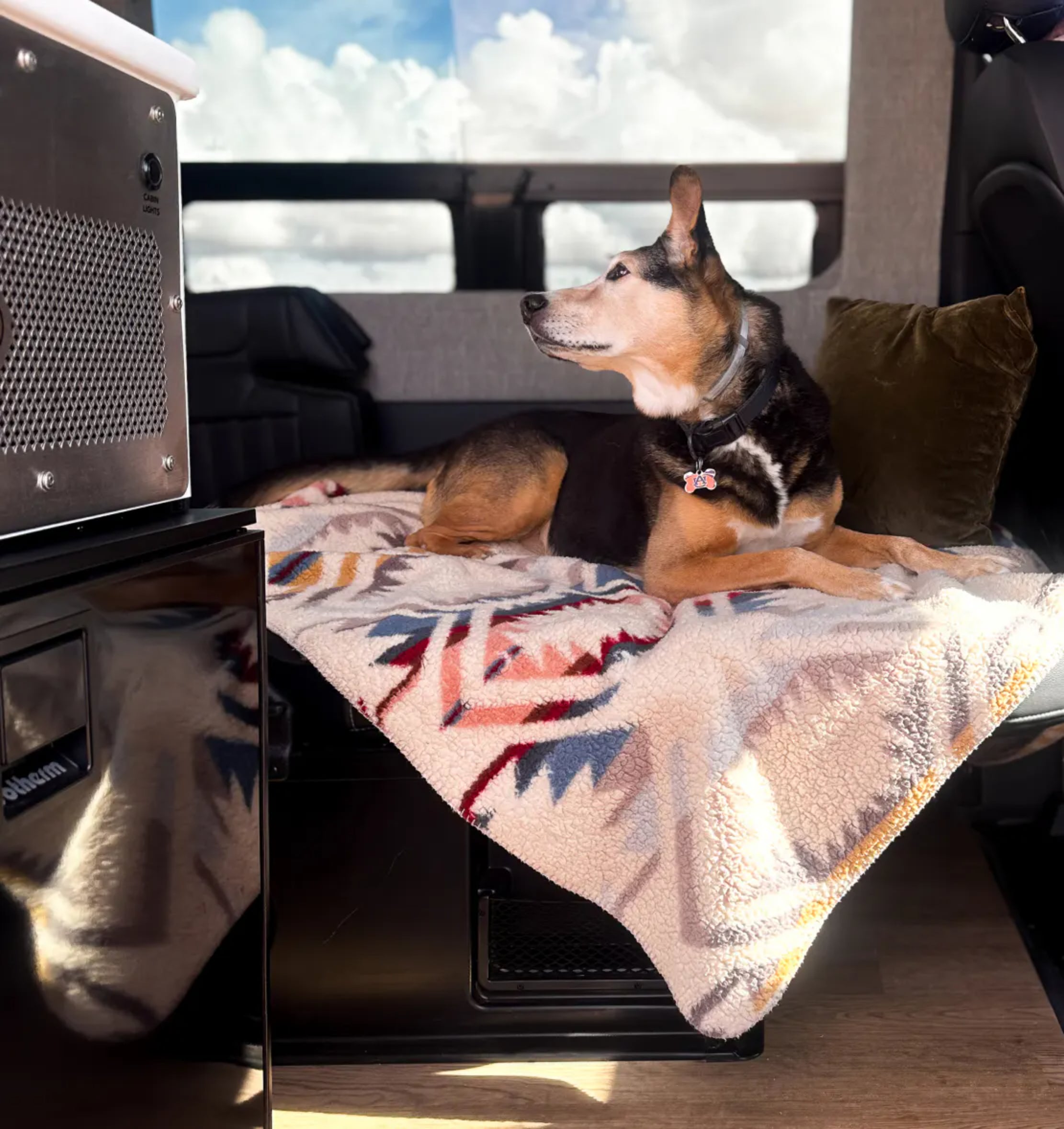 Dog lounging on blanket inside camper van, ideal for vanlife, overlanding, adventure travel.