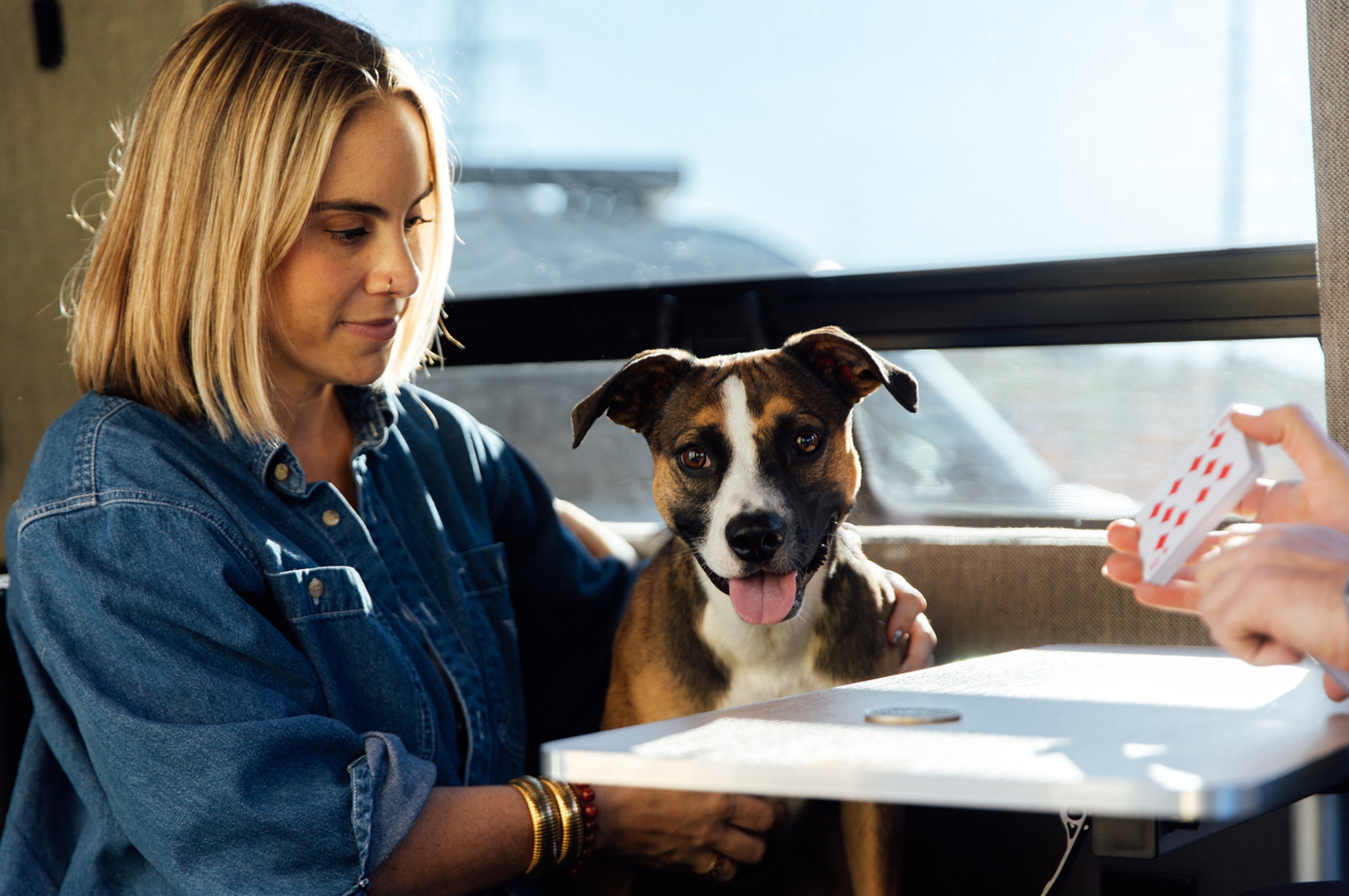Woman and dog enjoying card game inside adventure van, perfect for vanlife and overlanding.