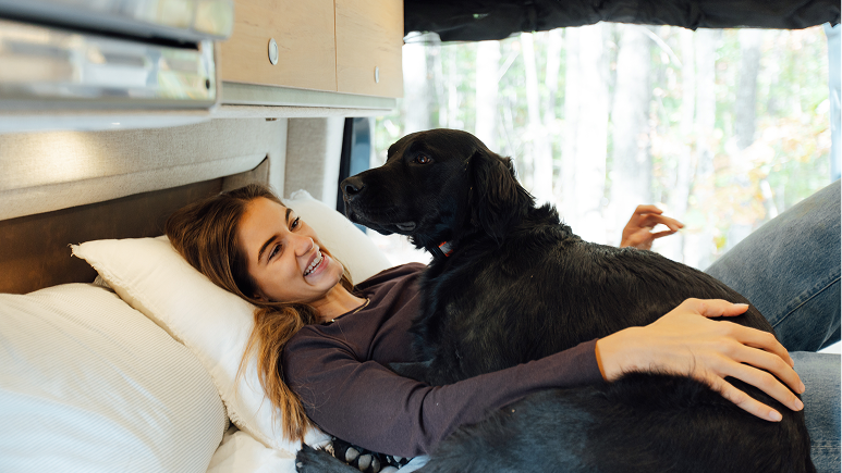 Storyteller Adventure Camper Van Dog-Friendly