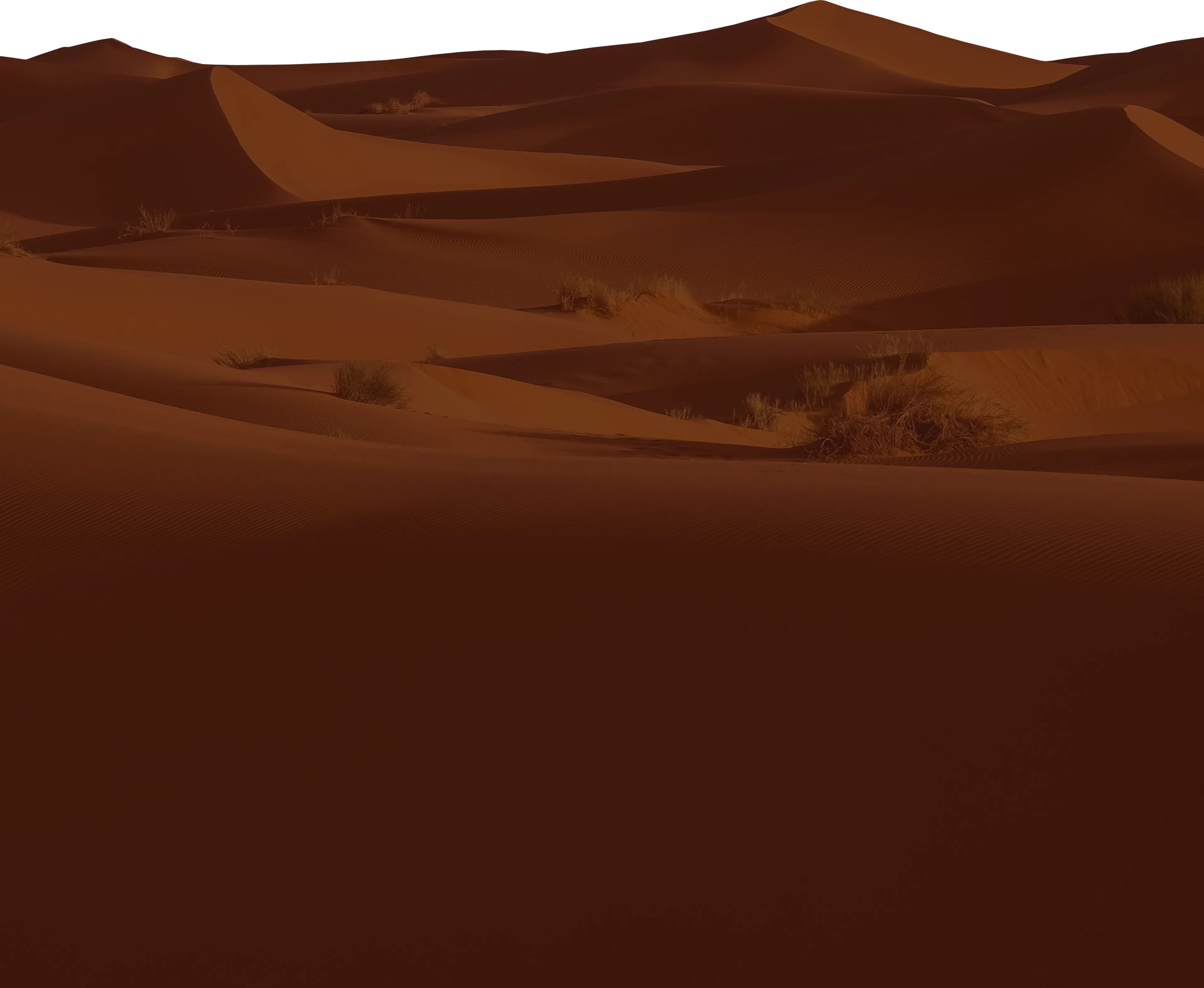 Global Expedition Vehicles Spec Landscape